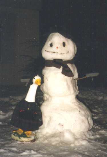 Let's build a Snowman!