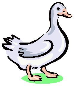 Goose!!