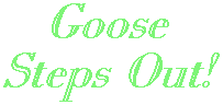 Goose Steps Out! - 8 Pictures